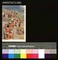 藏品(原住民明信片集：芋頭祭新船)的圖片